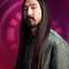 Steve Aoki